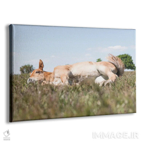 تابلو زیبای خفته IV اثر اندرو لِوِر - نمای پرسپکتیو محصول