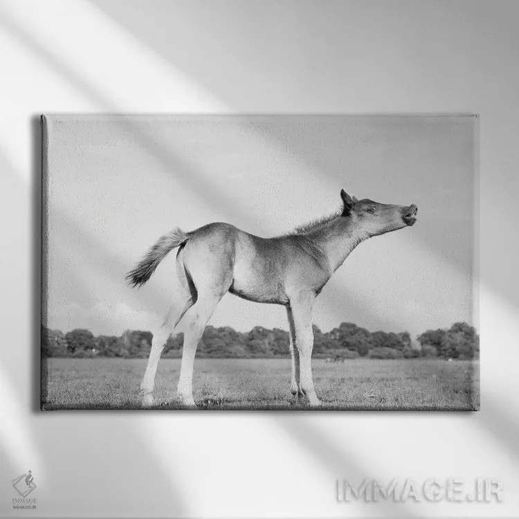 تابلو شیطونک اثر اندرو لِوِر - نمای روبهرو روی دیوار