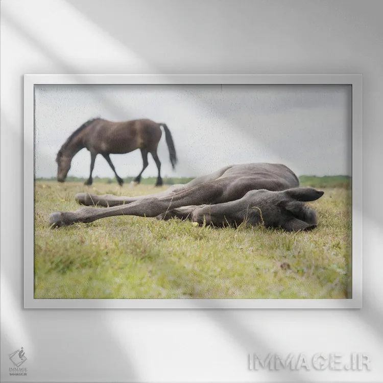 تابلو زیبای خفته II اثر اندرو لِوِر - نمای قابدار سفید