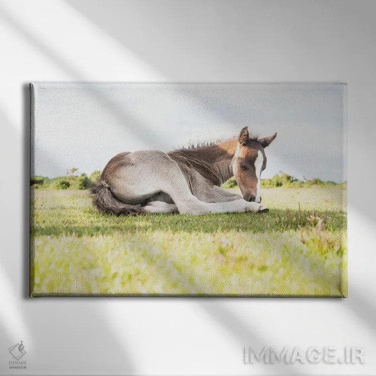تابلو زیبای خفته V اثر اندرو لِوِر - نمای روبهرو روی دیوار