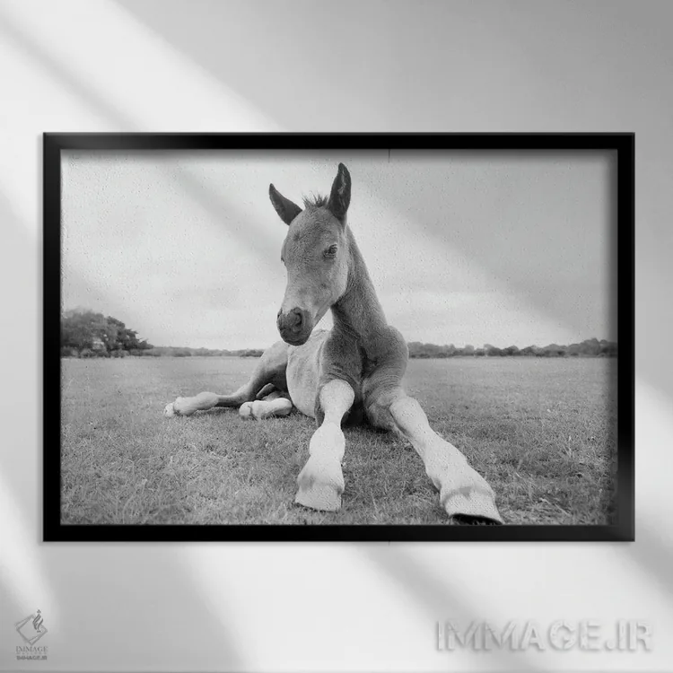 تابلو فقط ریلکس اثر اندرو لِوِر - نمای قابدار مشکی