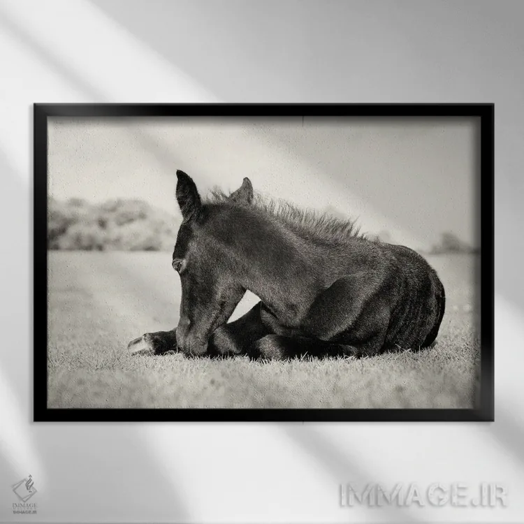 تابلو زیبای خفته III اثر اندرو لِوِر - نمای قابدار مشکی