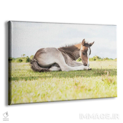 تابلو زیبای خفته VI اثر اندرو لِوِر - نمای پرسپکتیو محصول