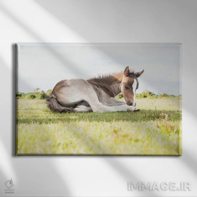 تابلو زیبای خفته VI اثر اندرو لِوِر - نمای روبهرو روی دیوار