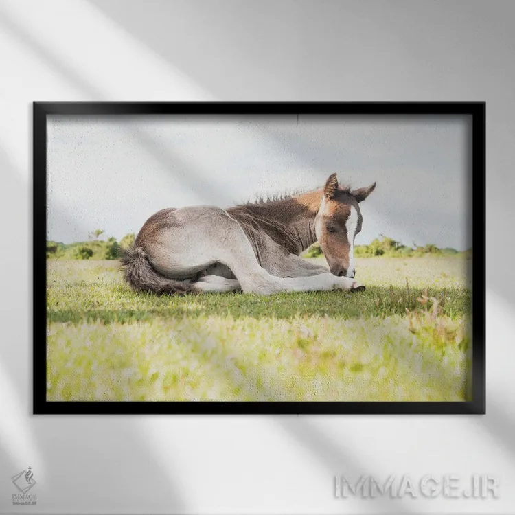 تابلو زیبای خفته VI اثر اندرو لِوِر - نمای قابدار مشکی