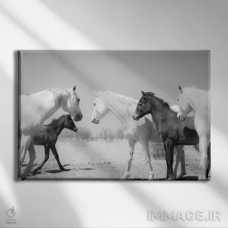 تابلو خانواده اسب عربی اثر اندرو لِوِر - نمای روبهرو روی دیوار