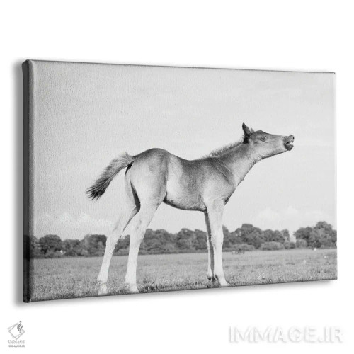 تابلو ندا کردن اثر اندرو لِوِر - نمای پرسپکتیو محصول