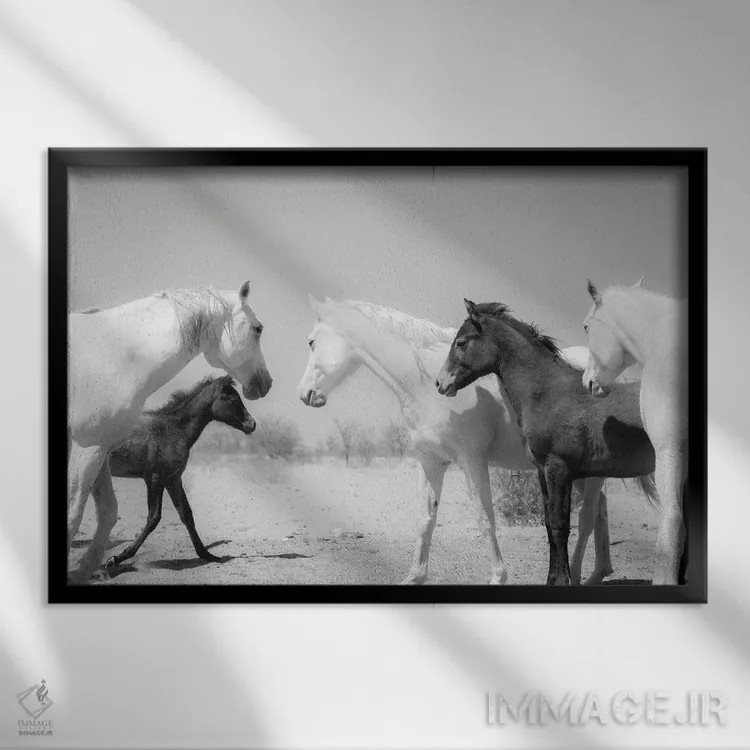 تابلو خانواده اسب عربی اثر اندرو لِوِر - نمای قابدار مشکی