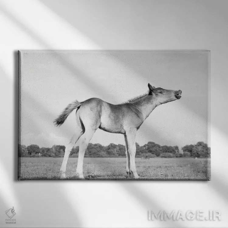 تابلو ندا کردن اثر اندرو لِوِر - نمای روبهرو روی دیوار