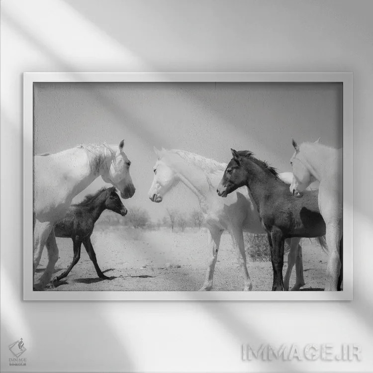 تابلو خانواده اسب عربی اثر اندرو لِوِر - نمای قابدار سفید