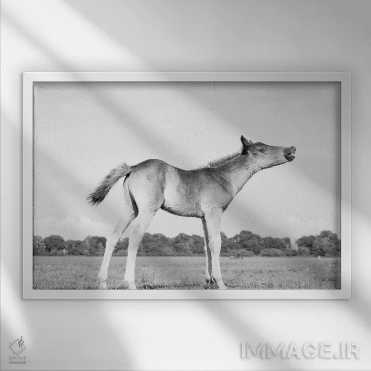 تابلو ندا کردن اثر اندرو لِوِر - نمای قابدار سفید