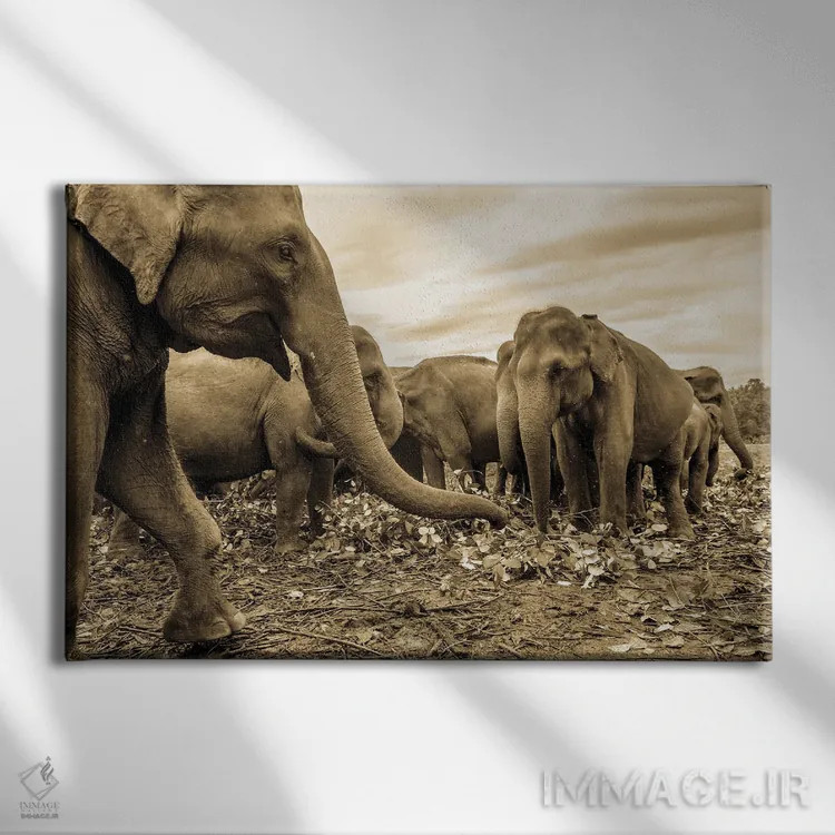 تابلو گله اثر اندرو لِوِر - نمای روبهرو روی دیوار