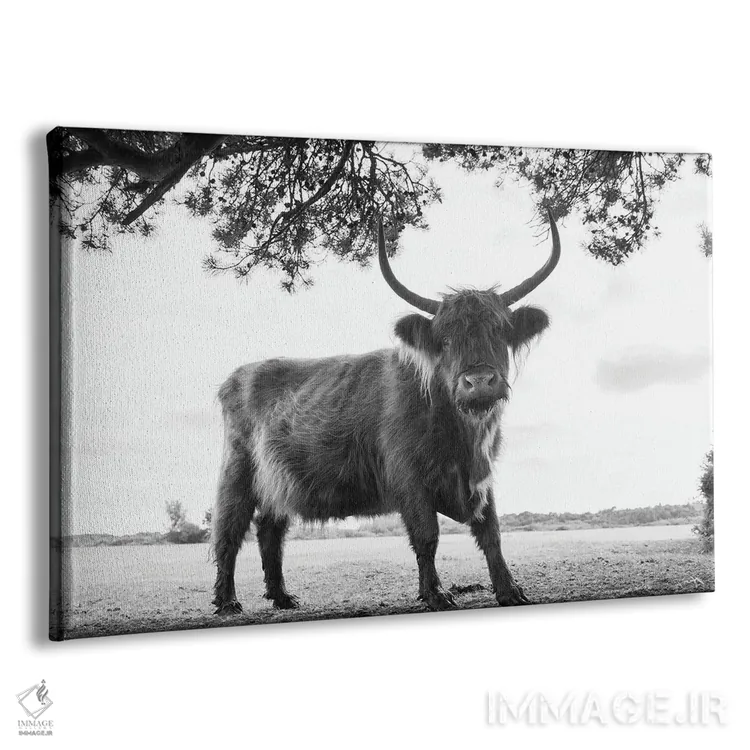 تابلو تو به من نگاه میکنی؟ اثر اندرو لِوِر - نمای پرسپکتیو محصول