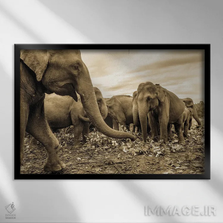 تابلو گله اثر اندرو لِوِر - نمای قابدار مشکی