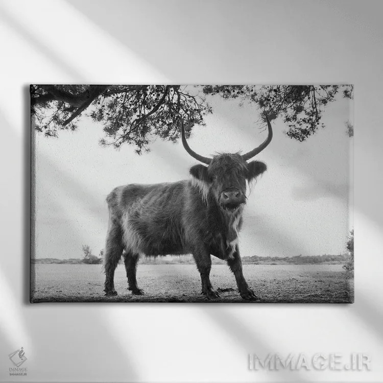 تابلو تو به من نگاه میکنی؟ اثر اندرو لِوِر - نمای روبهرو روی دیوار