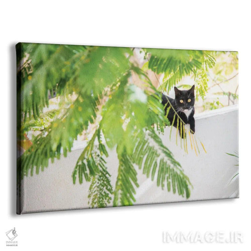 تابلو گربهٔ جنگلی اثر اندرو لِوِر - نمای پرسپکتیو محصول