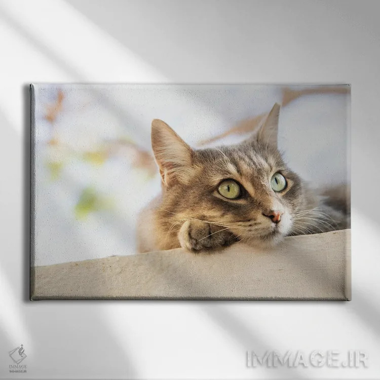 تابلو گربهٔ ببری چشمسبز اثر اندرو لِوِر - نمای روبهرو روی دیوار