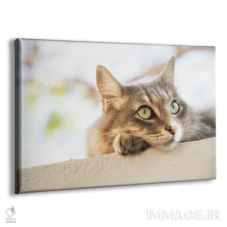 تابلو گربهٔ ببری چشمسبز اثر اندرو لِوِر - نمای پرسپکتیو محصول