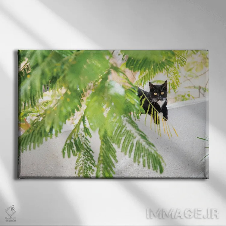 تابلو گربهٔ جنگلی اثر اندرو لِوِر - نمای روبهرو روی دیوار