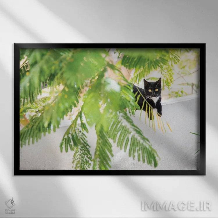تابلو گربهٔ جنگلی اثر اندرو لِوِر - نمای قابدار مشکی