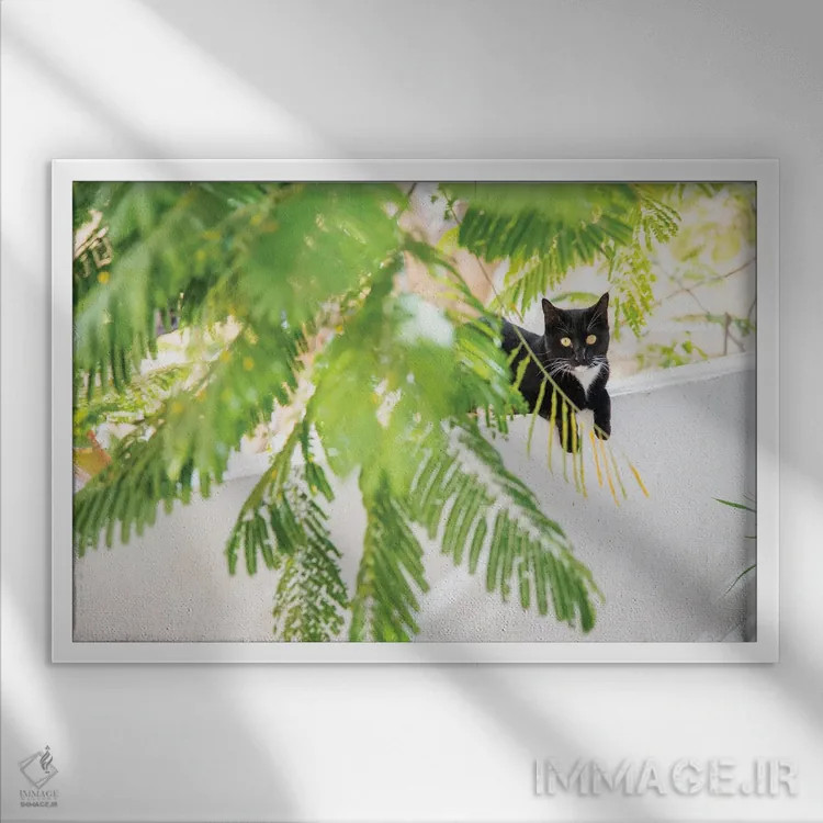 تابلو گربهٔ جنگلی اثر اندرو لِوِر - نمای قابدار سفید