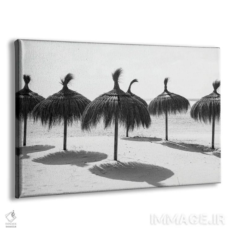 تابلو سایه اثر اندرو لِوِر - نمای پرسپکتیو محصول