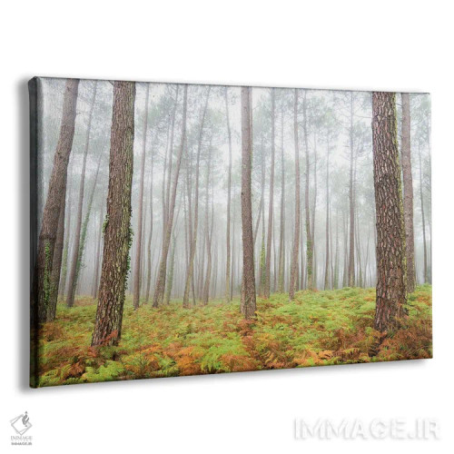 تابلو جنگل اثر اندرو لِوِر - نمای پرسپکتیو محصول