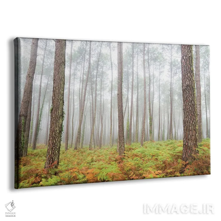 تابلو جنگل اثر اندرو لِوِر - نمای پرسپکتیو محصول