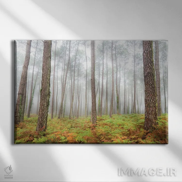 تابلو جنگل اثر اندرو لِوِر - نمای روبهرو روی دیوار