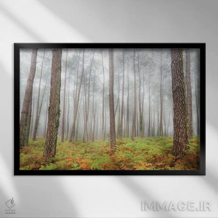 تابلو جنگل اثر اندرو لِوِر - نمای قابدار مشکی