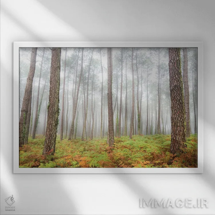 تابلو جنگل اثر اندرو لِوِر - نمای قابدار سفید