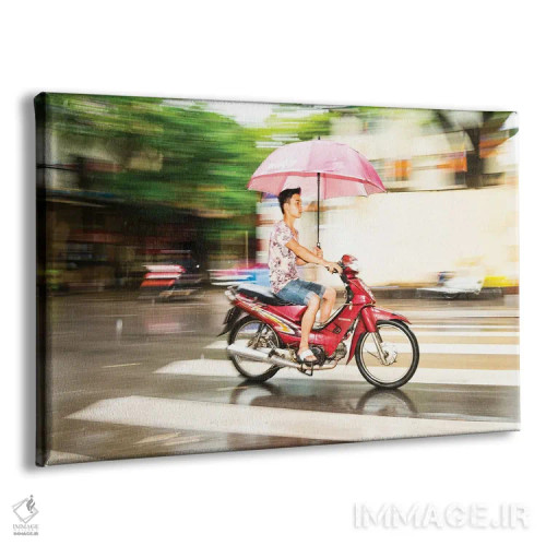 تابلو خشک نگه داشتن اثر اندرو لِوِر - نمای پرسپکتیو محصول