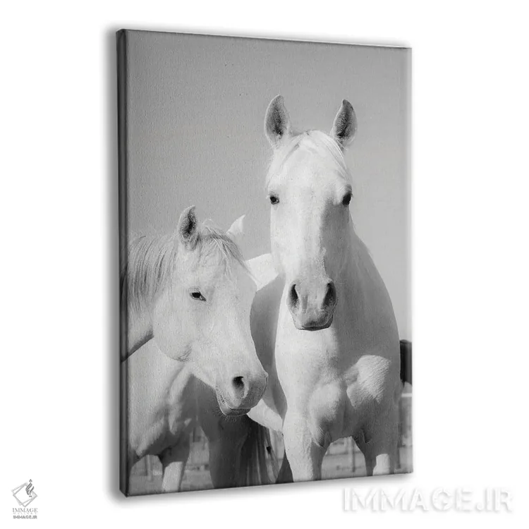 تابلو اسبهای عربی اثر اندرو لِوِر - نمای پرسپکتیو محصول