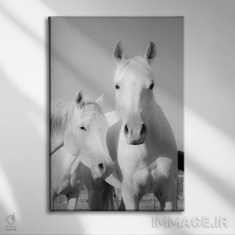 تابلو اسبهای عربی اثر اندرو لِوِر - نمای روبهرو روی دیوار