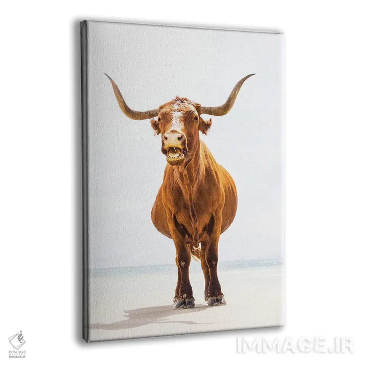 تابلو گاو نر ساحلی اثر اندرو لِوِر - نمای پرسپکتیو محصول
