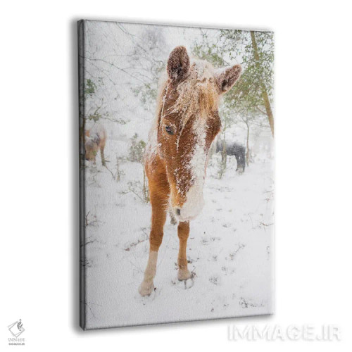 تابلو اسب برفی اثر اندرو لِوِر - نمای پرسپکتیو محصول