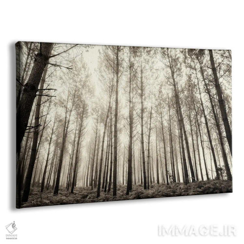 تابلو جنگل در مه اثر اندرو لِوِر - نمای پرسپکتیو محصول