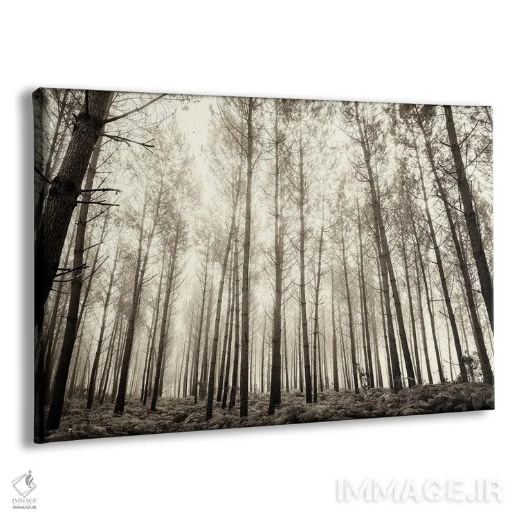 تابلو جنگل در مه اثر اندرو لِوِر - نمای پرسپکتیو محصول