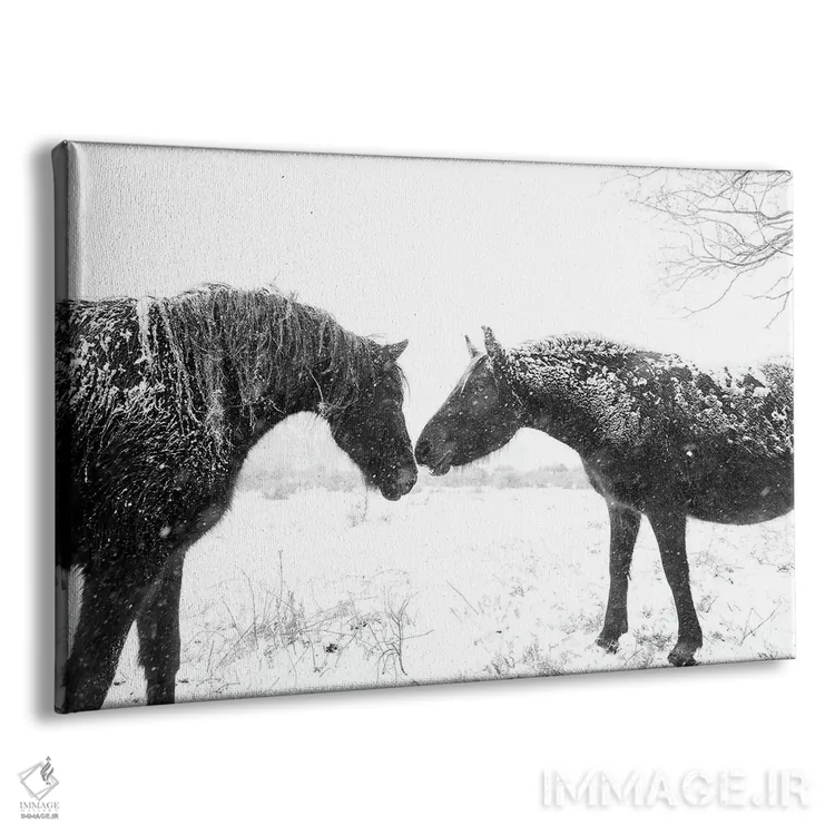 تابلو اسبهای برفی اثر اندرو لِوِر - نمای پرسپکتیو محصول