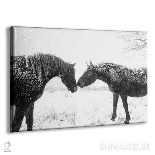 تابلو اسبهای برفی اثر اندرو لِوِر - نمای پرسپکتیو محصول