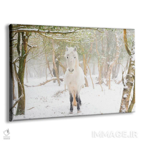تابلو اسب برفی II اثر اندرو لِوِر - نمای پرسپکتیو محصول
