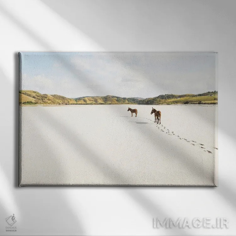 تابلو الاغهای ساحلی اثر اندرو لِوِر - نمای روبهرو روی دیوار