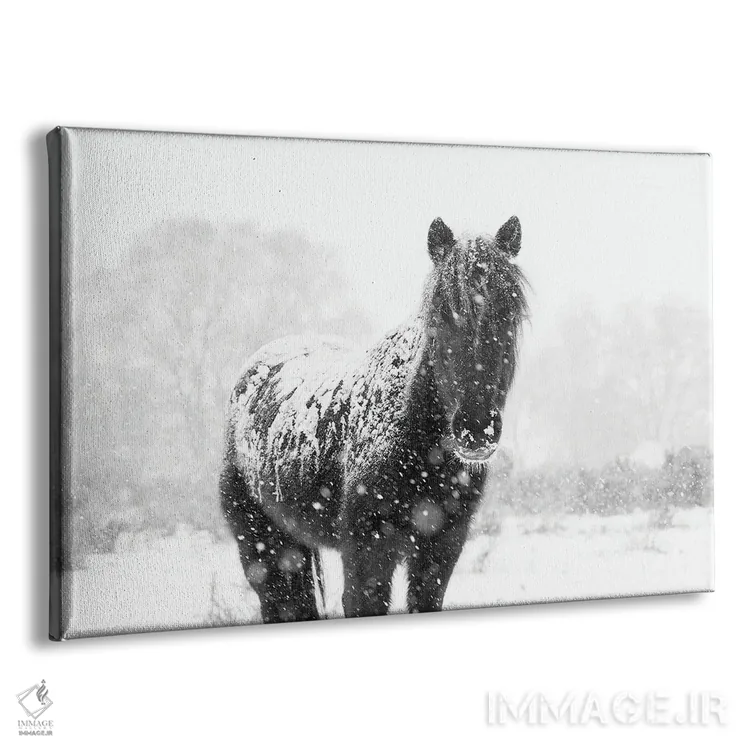 تابلو اسب برفی III اثر اندرو لِوِر - نمای پرسپکتیو محصول