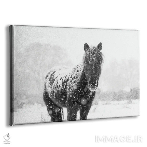 تابلو اسب برفی III اثر اندرو لِوِر - نمای پرسپکتیو محصول