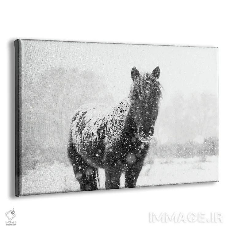تابلو اسب برفی III اثر اندرو لِوِر - نمای پرسپکتیو محصول