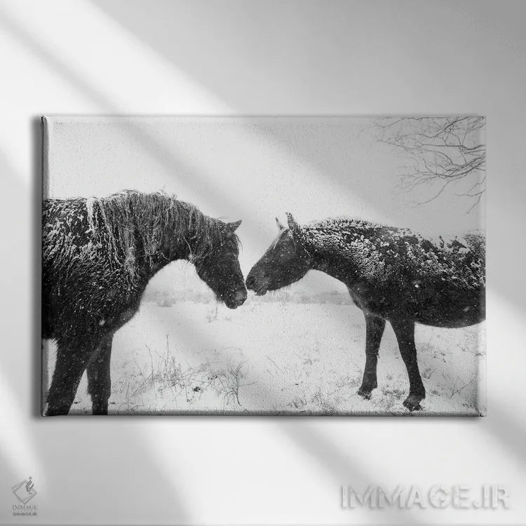 تابلو اسبهای برفی اثر اندرو لِوِر - نمای روبهرو روی دیوار