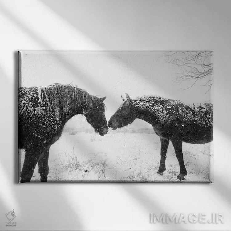 تابلو اسبهای برفی اثر اندرو لِوِر - نمای روبهرو روی دیوار