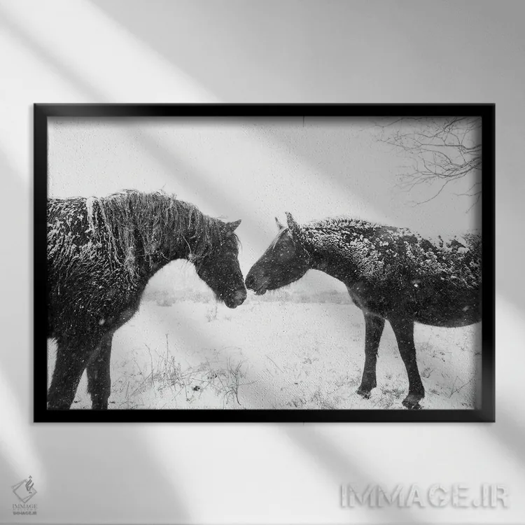 تابلو اسبهای برفی اثر اندرو لِوِر - نمای قابدار مشکی