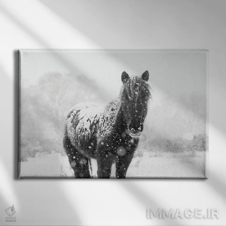 تابلو اسب برفی III اثر اندرو لِوِر - نمای روبهرو روی دیوار