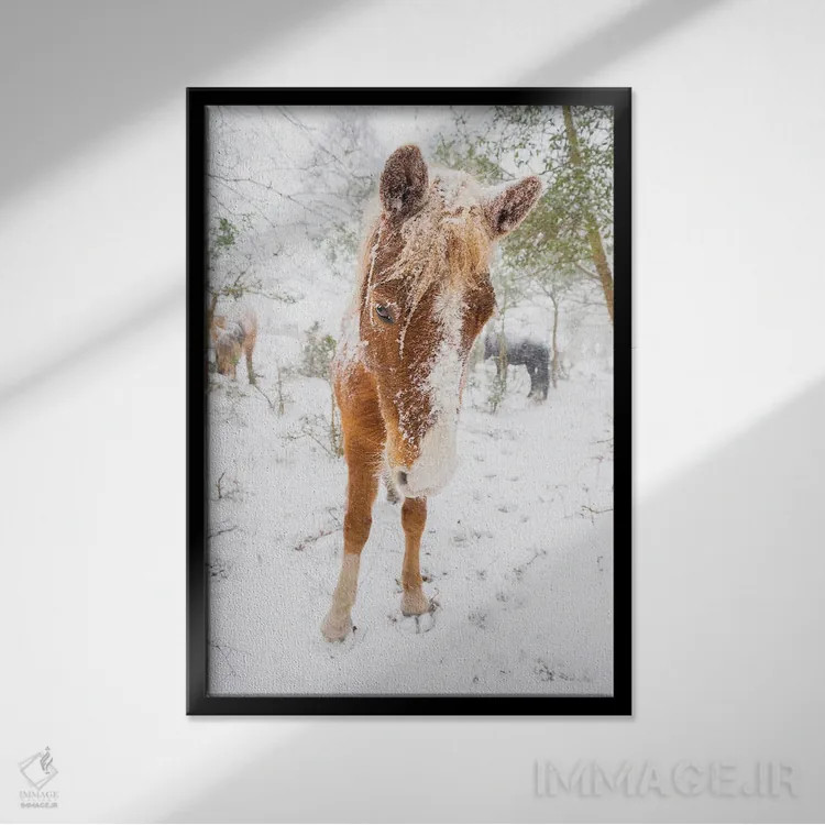 تابلو اسب برفی اثر اندرو لِوِر - نمای قابدار مشکی